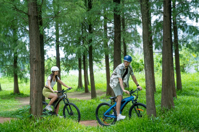 À la découverte du futur des aventures en plein air : le VTT électrique pliable à longue portée